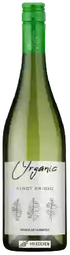 Domaine Bosco dei Cirmioli - Organic Pinot Grigio