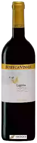 Domaine Bottega Vinaia - Lagrein