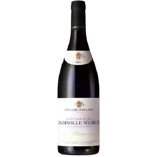 Domaine Bouchard Père & Fils - Chambolle Musigny