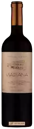 Domaine Viapiana - Barricas Selecionadas Lote III