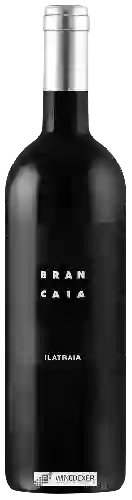 Domaine Brancaia - Ilatraia