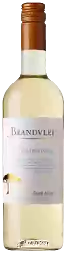 Domaine Brandvlei - Chardonnay Dry