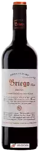 Domaine Briego - Tiempo Crianza