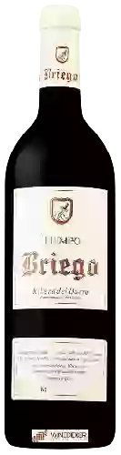 Domaine Briego - Tiempo Tinto