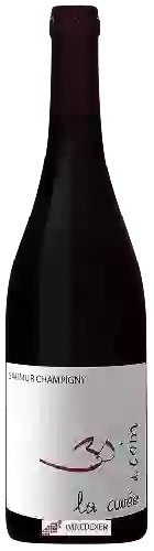 Domaine Bruno Dubois - Saumur Champigny Cuvée des Coin