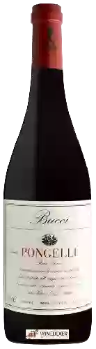 Domaine Bucci - Tenuta Pongelli Rosso Piceno