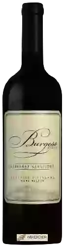 Domaine Burgess - Hillside Vineyards Cabernet Sauvignon