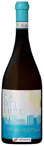 Domaine Ca' dei Lupi - Falanghina del Sannio