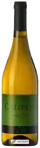 Domaine Ca'Liptra - Caliptra Bianco