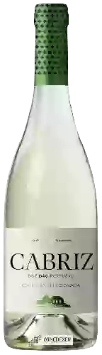 Domaine Cabriz - D&atildeo Colheita Seleccionada White