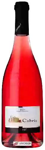 Domaine Cabriz - Dão Rosé