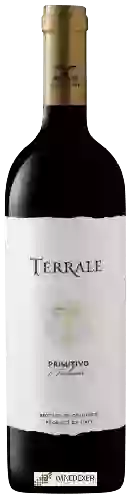 Domaine Calatrasi - Terrale Primitivo