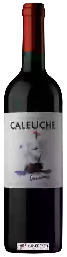 Domaine Caleuche - Carmenère