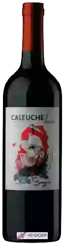 Domaine Caleuche - Classic Cabernet Sauvignon