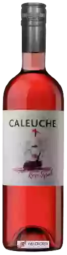 Domaine Caleuche - Rosé Syrah