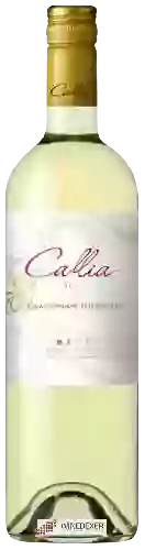 Domaine Callia - Alta Chardonnay - Torrontés