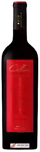 Domaine Callia - Blend de Terroirs Malbec