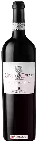 Domaine Cambria - Givlio Cesare Mamertino Rosso