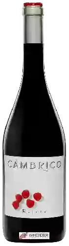 Domaine Cámbrico