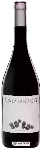 Domaine Cámbrico - Tempranillo