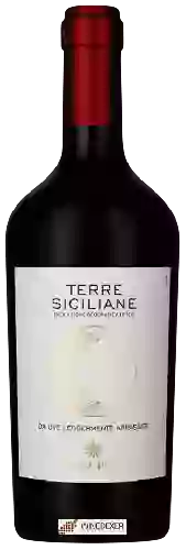 Domaine Campo Pietra - Uve Leggermente Appassite Terre Siciliane