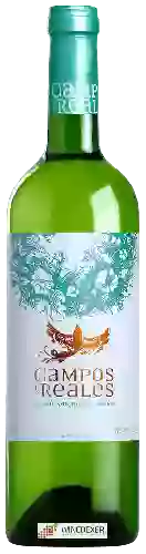 Domaine Campos Reales - Sauvignon Blanc - Airén