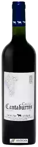 Domaine Cantaburros - Crianza