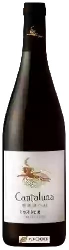 Domaine Cantaluna - Pinot Noir