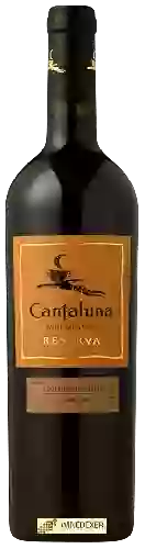 Domaine Cantaluna - Reserva Carmenère