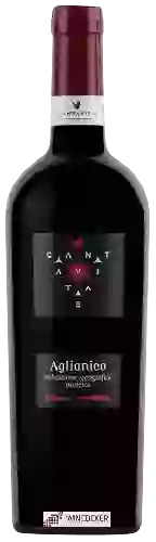 Domaine Cantavitae