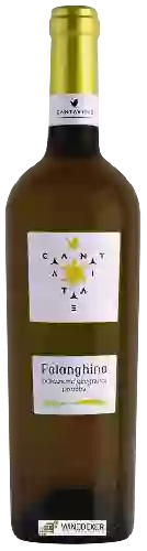 Domaine Cantavitae - Falanghina