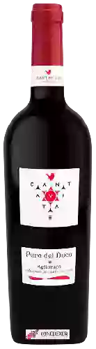 Domaine Cantavitae - Puro del Duca Aglianico