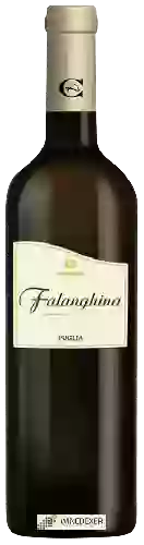 Domaine Cantina Ariano - Falanghina