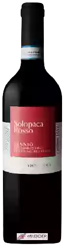 Domaine Cantina di Solopaca - Solopaca Rosso