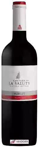 Domaine Cantina La Salute - Merlot