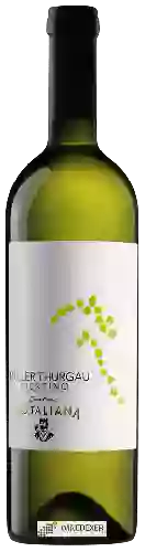 Domaine Cantina Rotaliana - Trentino Müller Thurgau