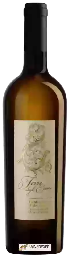 Domaine Cantina Tollo - Terre Degli Eremi Trebbiano d'Abruzzo