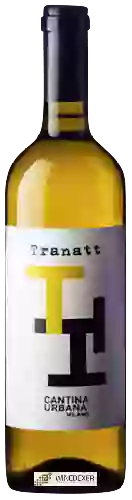 Domaine Cantina Urbana Milano - Tranatt Bianco