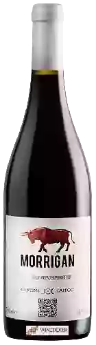 Domaine Cantine Capecci - Morrigan Rosso Piceno Superiore