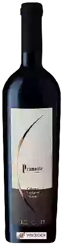 Domaine Lenotti - Cabernet Sauvignon Veneto Pramonte