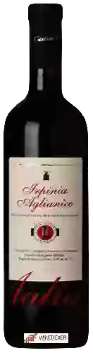 Domaine Cantine Lonardo - Aglianico Irpinia