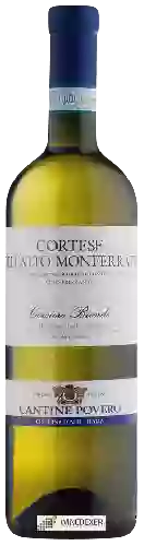 Domaine Cantine Povero - Corsiero Biondo Cortese dell'Alto Monferrato