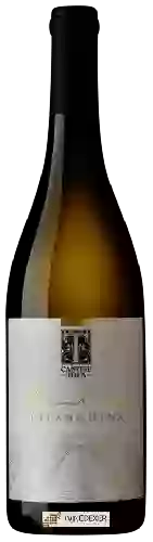 Domaine Cantine Tora - Cent'Ore Falanghina