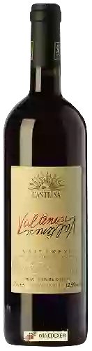 Domaine Cantrina - Valtènesi