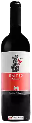 Domaine Capolino Perlingieri - Brizio Aglianico