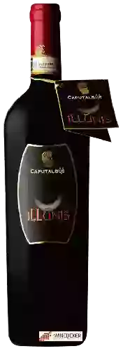 Domaine Caputalbus - Illunis