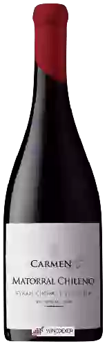 Domaine Carmen - Matorral Chileno Syrah - Cinsault - Viognier