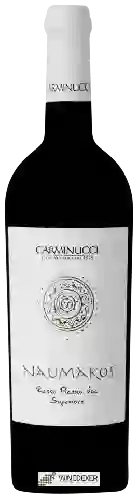 Domaine Carminucci - Naumakos Rosso Piceno Superiore