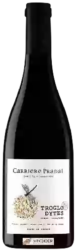 Domaine Carriere Pradal - Troglodytes