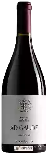 Domaine Casa Cesilia - Ad Gaude Tinto